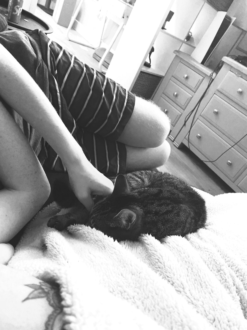 Black and white photo showing someone relaxing on a couch while they pet a small tabby cat